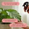 We The Wild™ 8.5oz. Protect Spray Organic Botanical Leaf Shine & Care for Houseplants